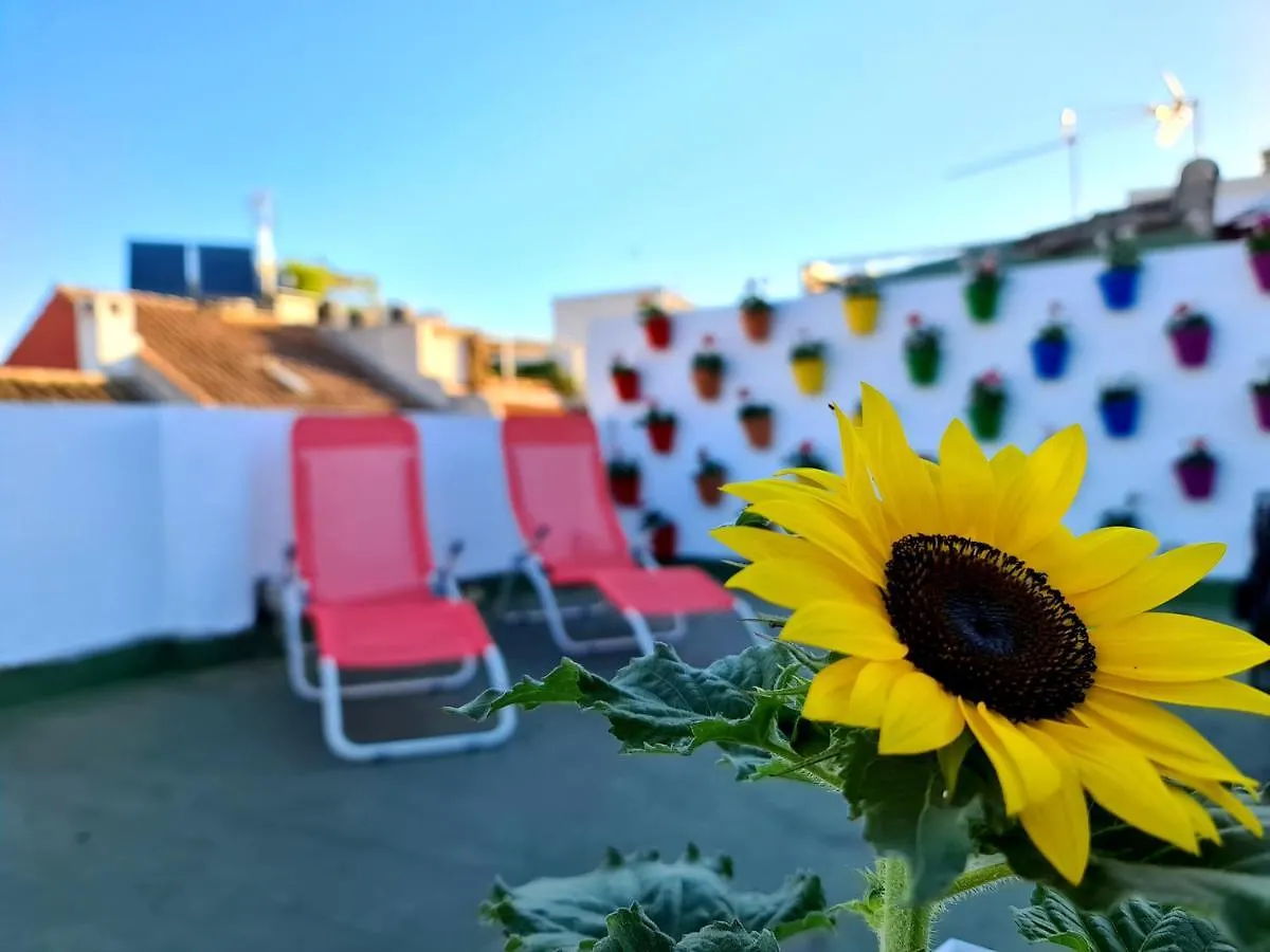 Hostal Funky By Arc House 2*, Cordoba Spain